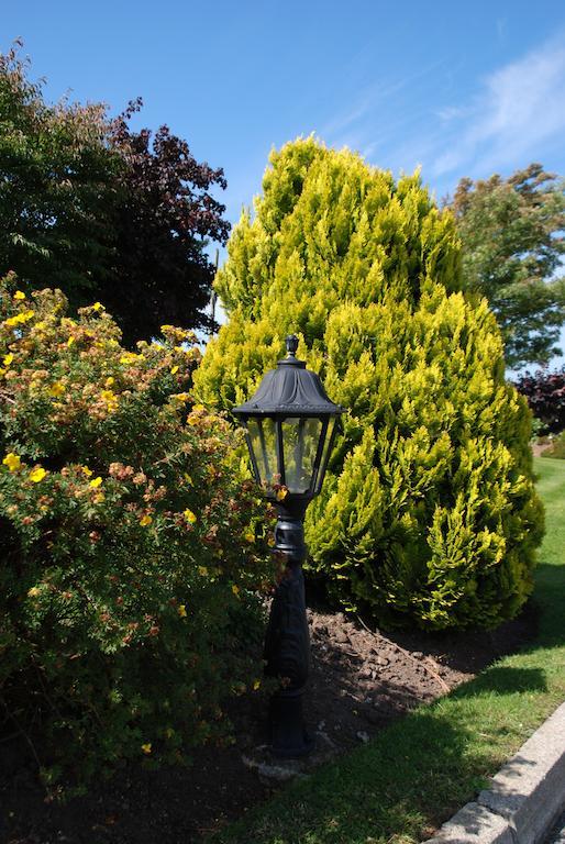 Cradog Farmhouse B&B Urlingford Exteriör bild